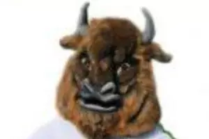 Участник конкурса на лучший талисман &copy;&nbsp;Фото пресс-службы ФК &laquo;Дружба&raquo;