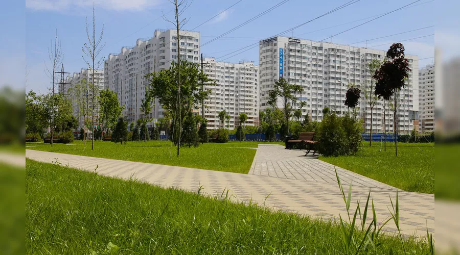  &copy;&nbsp;Фото пресс-службы администрации Краснодара