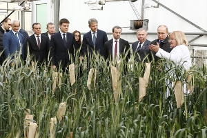 Владимир Путин на Всероссийском форуме сельхозпроизводителей © Фото Юга.ру