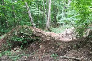  © Фото Рустема Ципинова