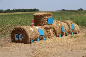  &copy;&nbsp;Фото пресс-службы Тбилисского района