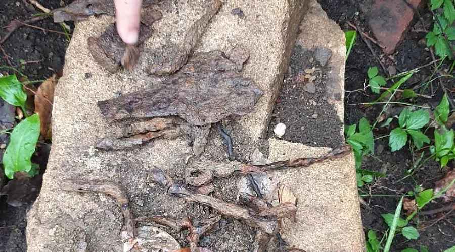  &copy;&nbsp;Фото из аккаунта Рустема Ципинова, www.instagram.com/rustemtsipinov