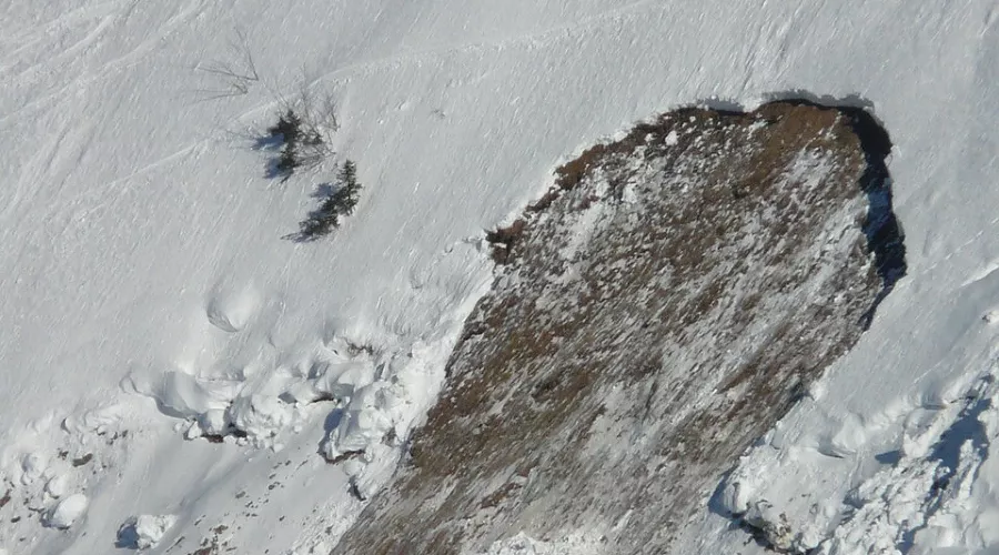  &copy;&nbsp;Фото с сайта pixabay.com