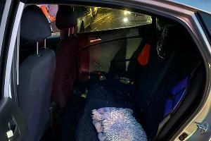  © Фото отделения по пропаганде безопасности дорожного движения ОГИБДД УВД по Сочи