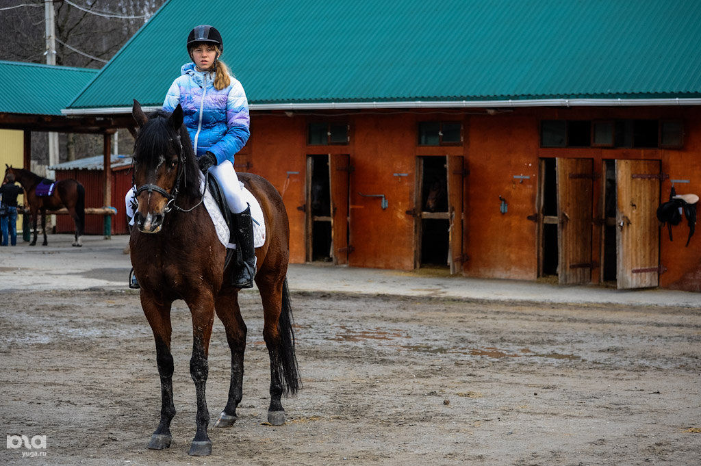 Конноспортивная школа. Конная школа дагомыс сочи. Конный спорт в сочи для детей. Конный спорт сочи. Конная школа дагомыс лошади.