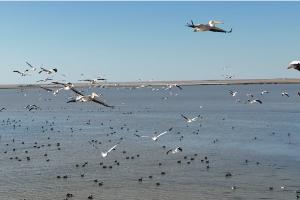  © Фото пресс-службы Минприроды России