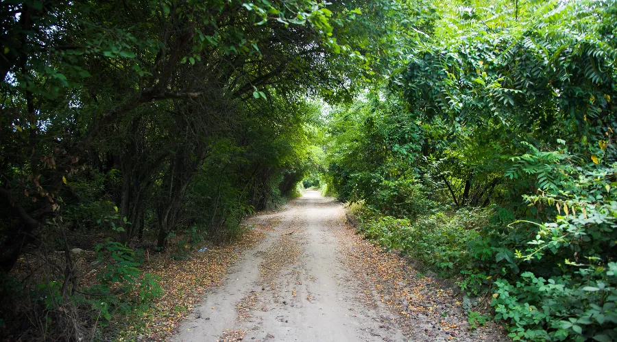  &copy;&nbsp;Фото Елены Синеок, Юга.ру