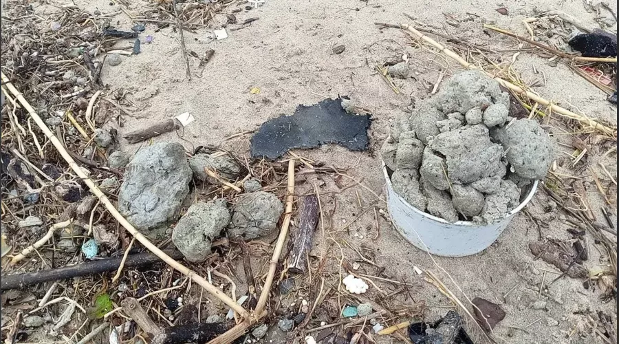  &copy;&nbsp;Скриншот из телеграм-канала штаба &laquo;Дельфины&raquo; https://t.me/shtab_delfin/2087