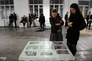 Выставка Валерия Казаса "Равновероятность возможности развития и деградации" &copy;&nbsp;Елена Синеок, ЮГА.ру