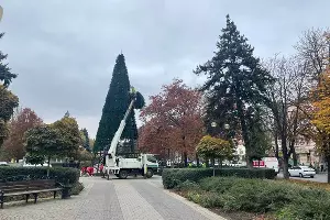  &copy;&nbsp;Фото Арины Богдановой, Юга.ру