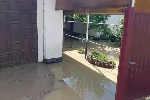  &copy;&nbsp;Фото Эмира Кубединова