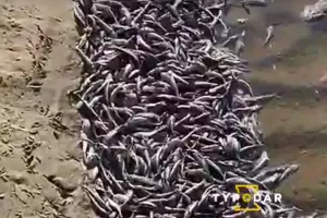 &copy;&nbsp;Скриншот видео из паблика &laquo;Туподар — Краснодар&raquo;, vk.com/typodar