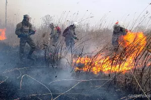  &copy;&nbsp;Фото пресс-службы Гринпис