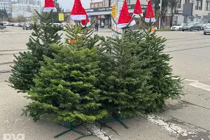  &copy;&nbsp;Фото Марии Журавлевой, Юга.ру