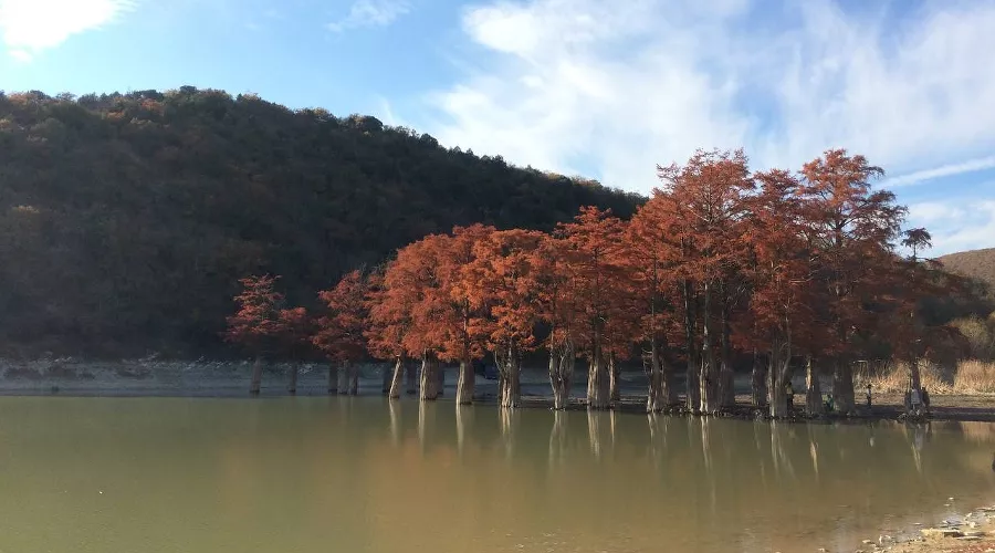  &copy;&nbsp;Фото Веры Ревиной для Юга.ру