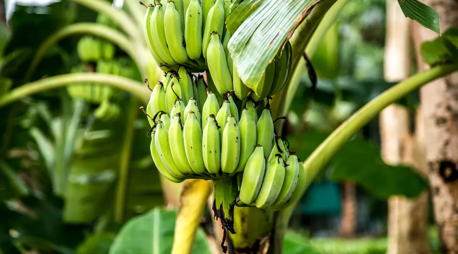  &copy;&nbsp;Фото pvproductions, сайт freepik.com