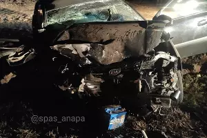  &copy;&nbsp;Фото из инстаграма МБУ &laquo;Служба Спасения&raquo; Анапы, instagram.com/spas_anapa/