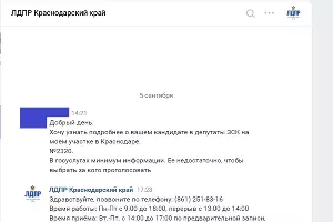Реакция ЛДПР на просьбу рассказать о кандидате &copy;&nbsp;Скриншот читательницы Юга.ру