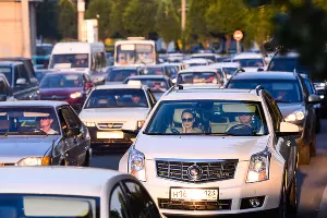  &copy;&nbsp;Фото Елены Синеок, Юга.ру