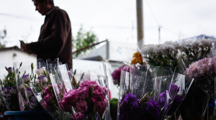  © Елена Синеок, ЮГА.ру