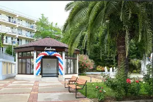  &copy;&nbsp;Скриншот из телеграм-канала мэрии Сочи https://t.me/officialsochi/50402