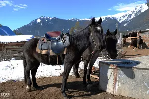 По дороге в Архыз &copy;&nbsp;Елена Синеок. ЮГА.ру