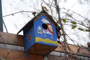  &copy;&nbsp;Елена Синеок, Юга.ру