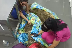  &copy;&nbsp;Фото приюта prodobro.team в Крымске