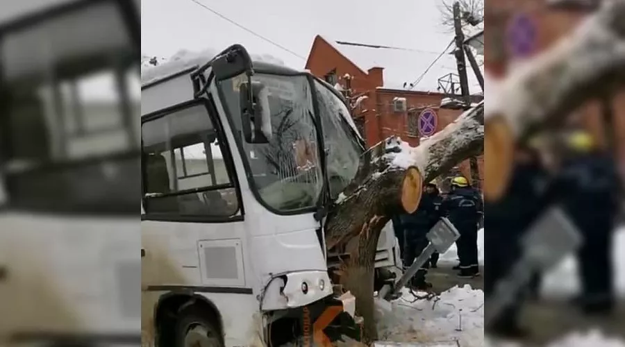  &copy;&nbsp;Скриншот видео из телеграм-канала &laquo;Телетайп Краснодара&raquo;, tmtr.me/tipichkras