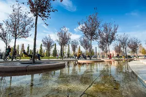 Парк «Краснодар» &copy;&nbsp;Фото Елены Синеок, Юга.ру