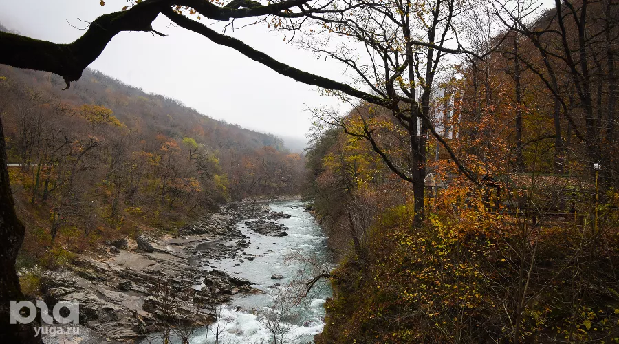 Река Белая. Республика Адыгея &copy;&nbsp;Фото Елены Синеок, Юга.ру