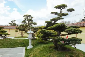 Японский сад &copy;&nbsp;Антон Быков, Юга.ру