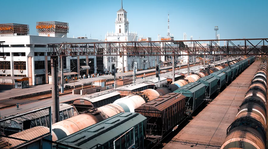  &copy;&nbsp;Фото Елены Синеок, Юга.ру