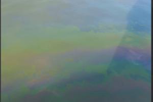  © Скриншот из телеграм-канала «Экодиктатура» https://t.me/ecodictatura/7637?single