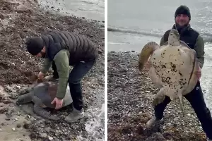  &copy;&nbsp;Скриншот видео из телеграм-канала администрации Туапсинского района
