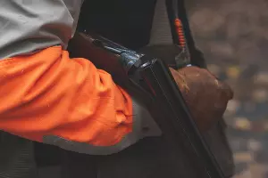  &copy;&nbsp;Фото Hunter Brumels, unsplash.com