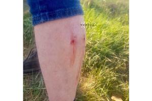  &copy;&nbsp;Скриншот фото из группы &laquo;Типичный Краснодар&raquo; в инстаграме, instagram.com/tipich.krd