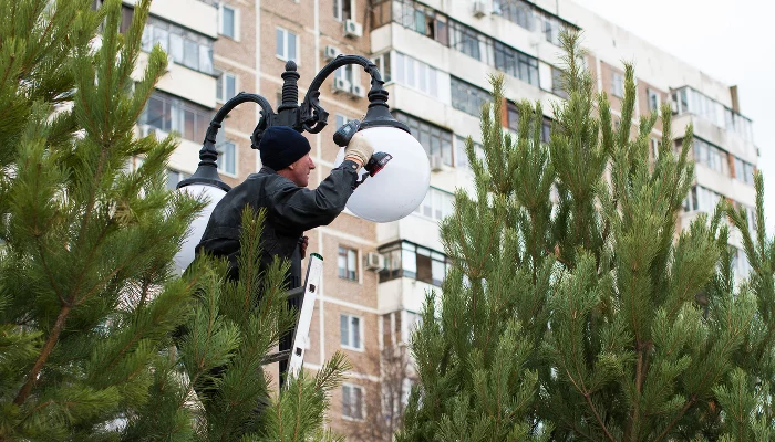 Аллея в честь 80-летия образования Краснодарского края &copy;&nbsp;Фото Елены Синеок, Юга.ру