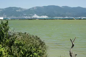 Суджукская лагуна и ее окрестности &copy;&nbsp;Фото Елены Синеок, Юга.ру