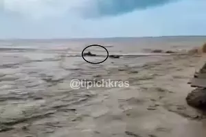  &copy;&nbsp;Скриншот с видео t.me/krd_tipich_ru