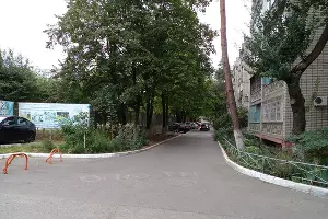 Деревья, асфальт и парковочные места, за сохранность которых переживают жильцы &copy;&nbsp;Фото предоставили жители дома на Сормовской, 175/2