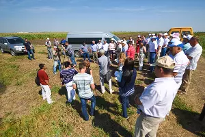 День поля в Адыгее &copy;&nbsp;Елена Синеок, ЮГА.ру