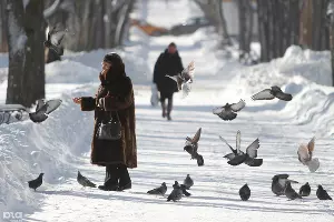 Аномальные морозы в Ставрополе &copy;&nbsp;Эдуард Корниенко, ЮГА.ру