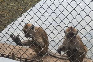  &copy;&nbsp;Фото пресс-службы Южного таможенного управления