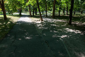 Пешеходные дорожки © Фото Дмитрия Пославского, Юга.ру