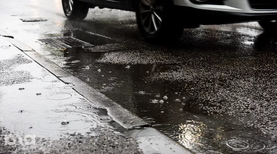  &copy;&nbsp;Фото Елены Синеок, Юга.ру