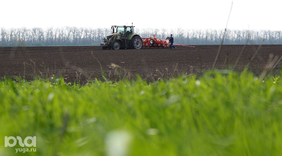  © Фото Виталия Тимкива, Юга.ру