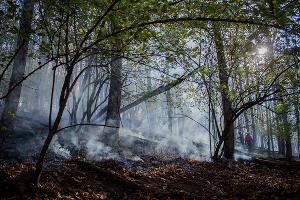  © Фото Алисы Пелешенко со страницы vk.com/dobrofire