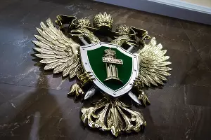  &copy;&nbsp;Елена Синеок, Юга.ру