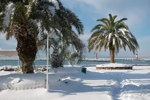 Сочи в снегу &copy;&nbsp;Никита Быков, Юга.ру